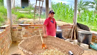 A roça de amendoim e milho do Sr. Cristóvão (Interior da Bahia)