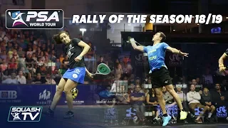 Squash: Rally of the Season 2018/19