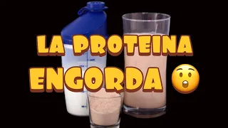 La proteina ENGORDA || Coach Eli