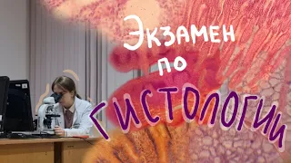 Сдаю экзамен по гистологии🔬 [Будни студентки медицинского]