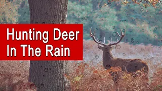 How To Hunt Deer In The Rain | Tips and Tactics For Bad Weather Days