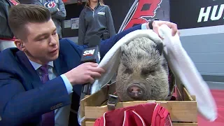 Hamilton the Pig gives exclusive interview with Kyle Bukauskas before Game 3