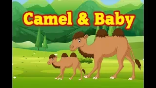 Camel And Baby | Moral Story For Kids