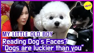 [HOT CLIPS] [MY LITTLE OLD BOY]  "If they🐶 were human, they'd be a ..." (ENG SUB)