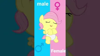 My little pony Gender swap #mlp