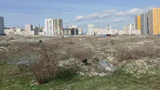 Переезд в Новороссийск. ШОК Цены, ЖК Барса. Пляж Алексино в мазуте!