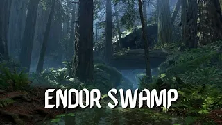 Star Wars Ambience - Endor Swamp (relaxing nature, animals, no music)