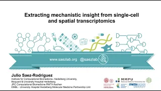 SCOG Virtual Lecture Series - Julio Saez-Rodriguez (Heidelberg University)