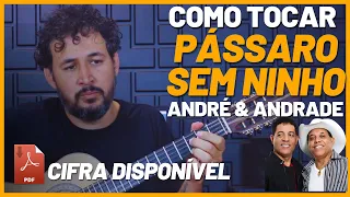 PÁSSARO SEM NINHO - André & Andrade | Viola Caipira | Como Tocar | Aula  Viola Completa | Tutorial