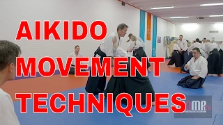 AIKIDO Movement Techniques Christian Tissier pt4