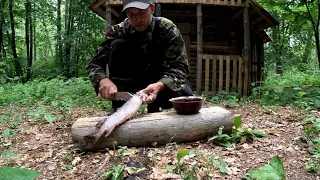 Зловив рибу і приготував з кропивою смачний обід у лісовій домівці