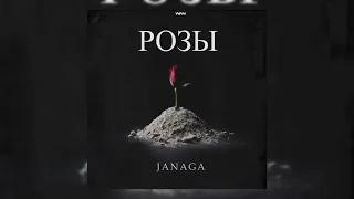 JANAGA & ANNA ASTI - Розы | Премьера трека 2023