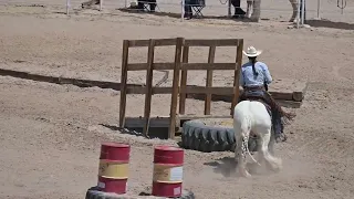 EXCA 2024 05 12 El Paso Sheriff's Posse Pro #1 Paola T Silver Meadow Lenny's Playboy