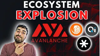 Avalanche Ecosystem Update | Joe, BenQi, Pangolin EXPLODING