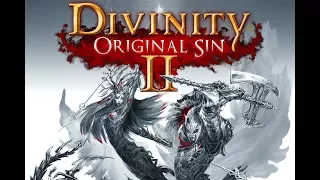 Divinity: Original Sin 2 создаем перса