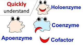 Cofactors | Coenzymes | Holoenzyme | Apoenzyme