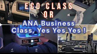 ANA Business Class Flight Chicago to Tokyo ,Should I upgrade ?