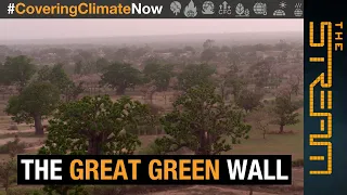 Why is Africa building a 'Great Green Wall' ? | The Stream