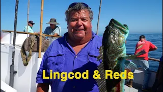Lings & Reds on the Coral Sea