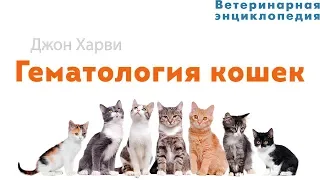 Гематология кошек