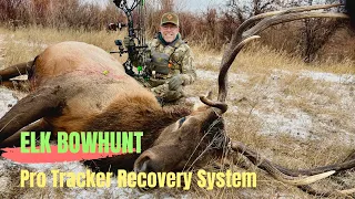 ELK BOWHUNT & Pro-Tracker Recovery System Test & Tooth of the Arrow Broadheads