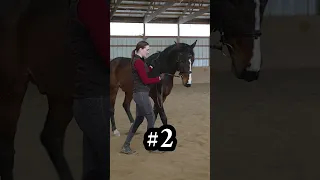 Strengthen a Horse on the Ground