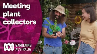 Join us as we visit a collector's plant fair | Discovery | Gardening Australia