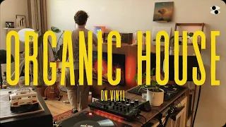 Organic House Mix on Vinyl - no. 36