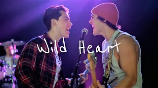 luke & reggie | wild heart (jatp)