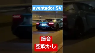 アヴェンタドール SV 爆音 空吹かし‼️ /ランボルギーニ アヴェンタドール Lamborghini aventador