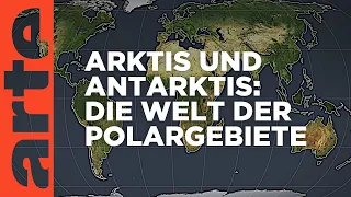 Arktis und Antarktis, die Welt der Polargebiete | Mit offenen Karten | ARTE