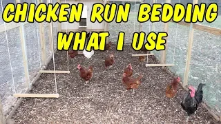 Chicken run bedding - What I use