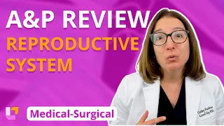 MS Reproductive System: A&P Review