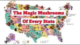 Which Magic Mushrooms grow in your State?