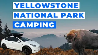 Camping in Yellowstone National Park in 2021 Tesla Model Y | S1:E15