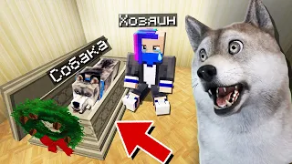 БРОДЯЧИЙ ПЕС НА ПОХОРОНАХ В МАЙНКРАФТ! ЖИЗНЬ ЖИВОТНЫХ В MINECRAFT!