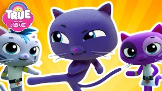 NINJA CATS! 😼 6 Full Episodes 🌈 True and the Rainbow Kingdom 🌈