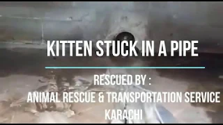 UNBELIEVABLE RESCUE : KITTEN STUCK IN A PIPE CASE .. | IT's a RACE Against TIME | | MUST WATCH |