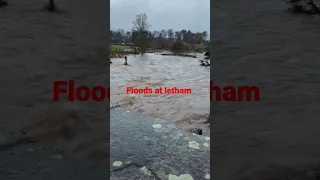 flood in Angus 18/11/22