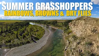 Summer Grasshoppers - Sunny Afternoon Dry Fly Fishing for Rainbow & Brown Trout in Alberta, Canada