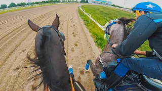 INCREDIBLY Close sparring Race with an ARABIAN Race Horse!