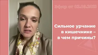 Сильное урчание в кишечнике - в чем причины?