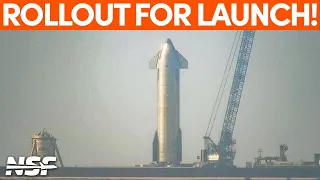 Ship 24 Rolled Out for the Final Time | SpaceX Boca Chica