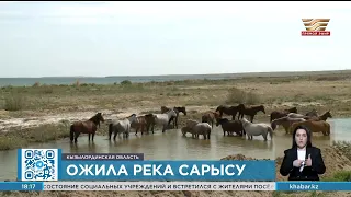 Река Сарысу вновь ожила в Кызылординской области