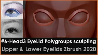 6-Head3 Creating EyeLid sculpting head in Zbrush 2020, polygroups for upper/lower eyelid