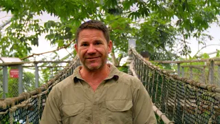 Steve Backshall on Rainforest Canopy Walkway, Eden Project