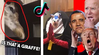 US Presidents React To Cursed TikToks You Should Not Watch At 3AM