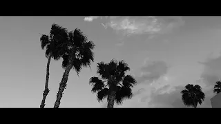 Windy Day Palm Desert 120fps Black and White Fuji X-S10