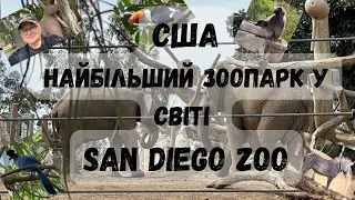 Моя жизнь в АмерикеSAN DIEGO ZOO СШАНАЙБІЛЬШИЙ ЗООПАРК У СВІТІ