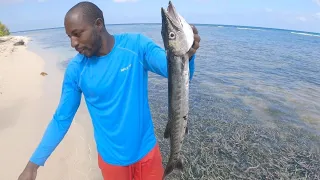 Travel For Fish | Fishing Trip Deadly Barracuda | In Jamaica